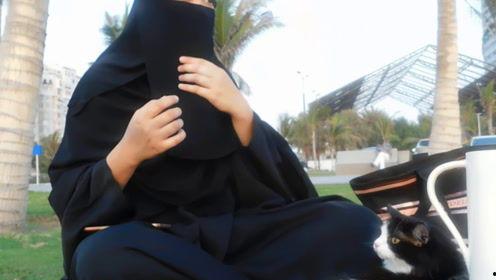 娱乐吃瓜君37,揭秘娱乐圈最新热点事件