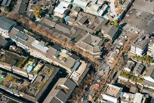 小欢喜背景是哪个城市,小欢喜描绘都市家庭教育的喜怒哀乐